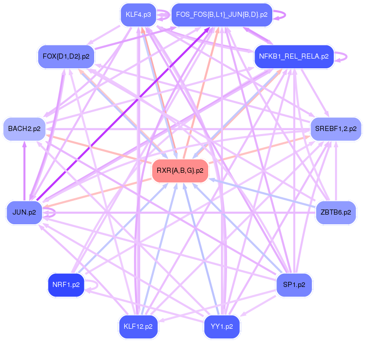 PNG image of the network